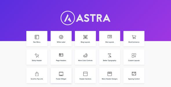 Astra Pro Addon 4.10.0– 适用于任何网站的 WordPress 主题